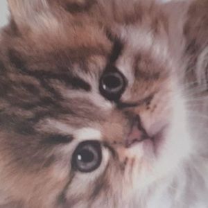 Meet your Posher, Georgina